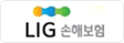 LIG 손해보험