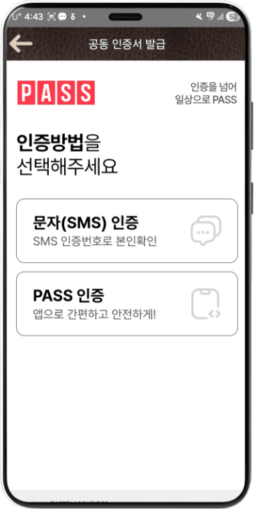 문자인증 or PASS인증 선택